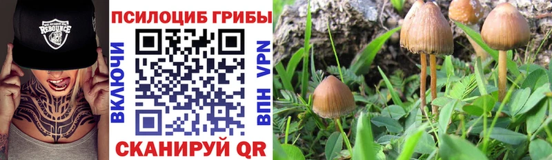 Галлюциногенные грибы ЛСД  купить   Грозный 